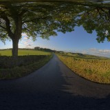 country road at sunset under tree spherical hdri map light probe image